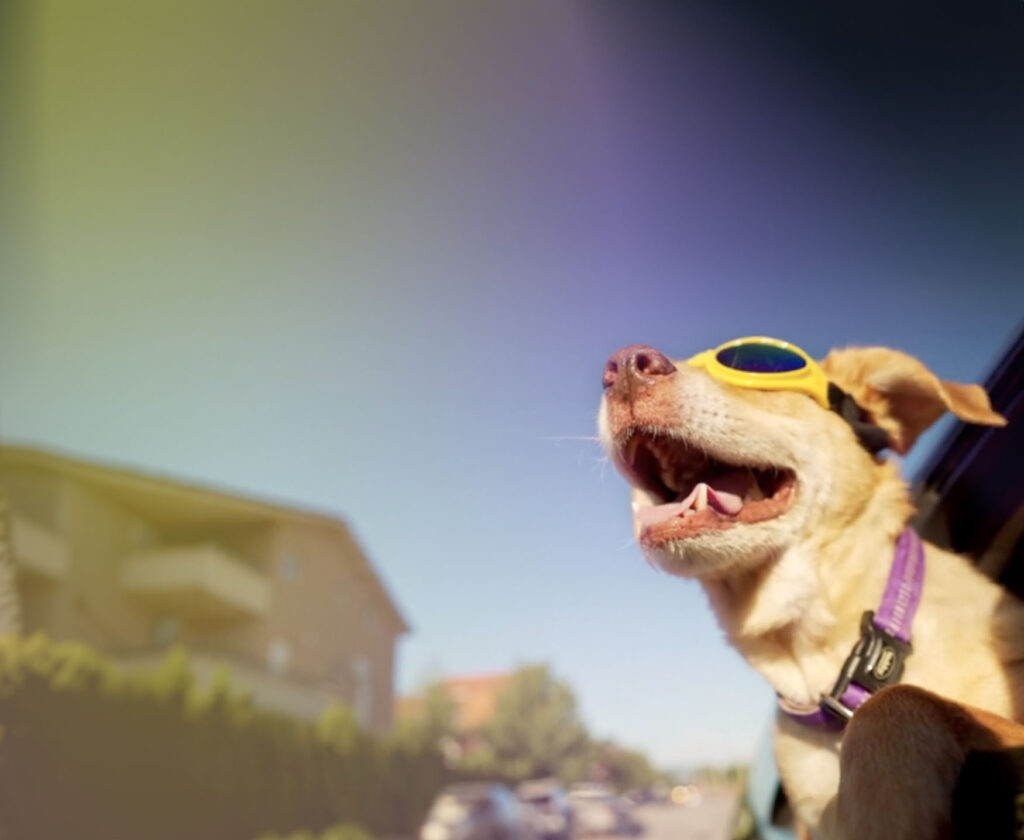 the feeling when you have renewed your fuel card business with ease