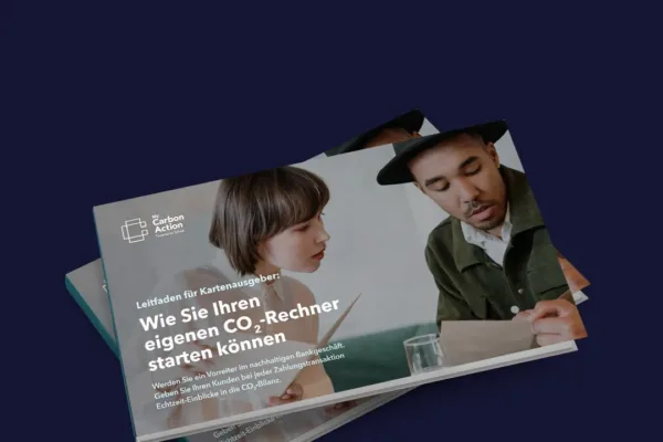 Leitfaden: Wie Sie Ihren eigenen CO2-Rechner starten können