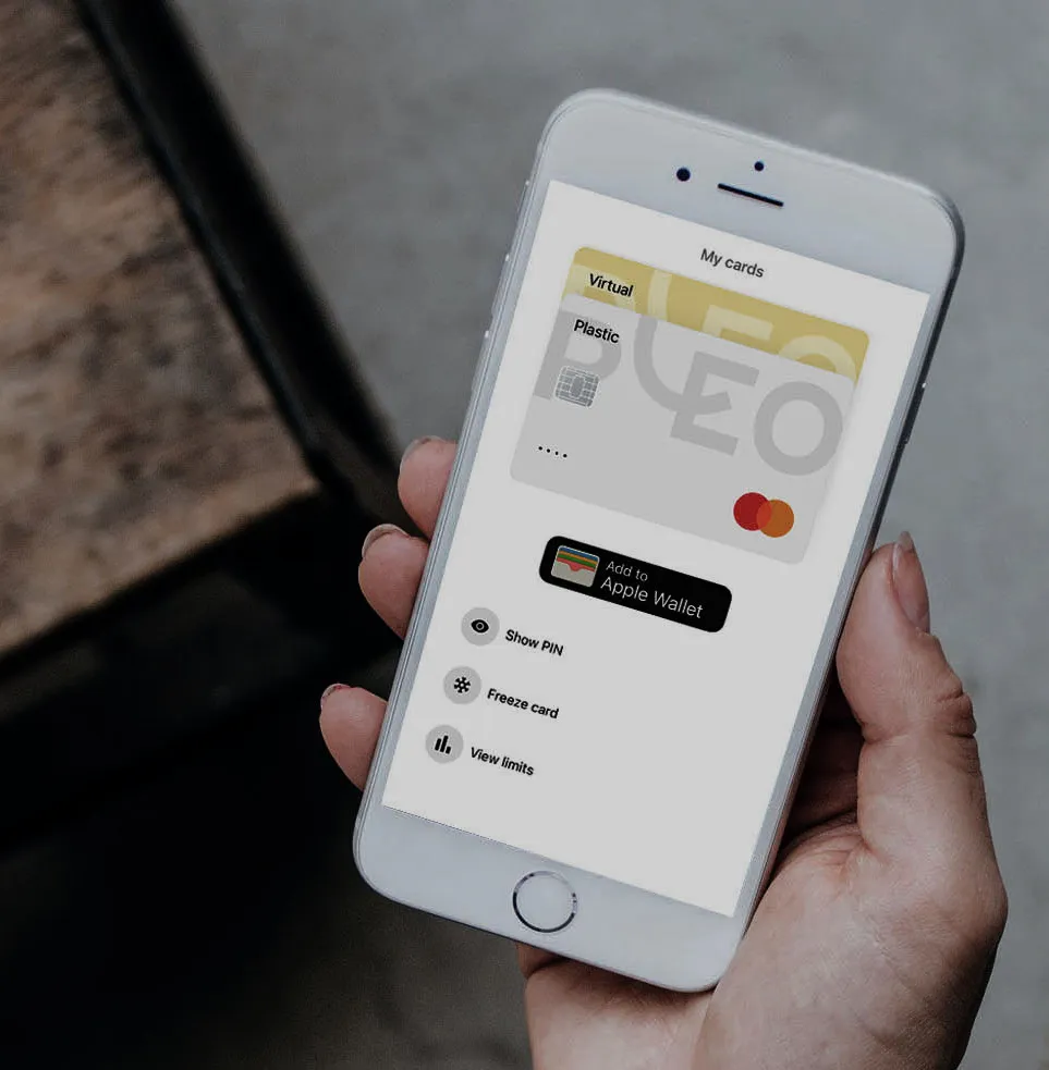 Image for Pleo x Enfuce: Insgesamt 98.000 Karten ausgegeben, weiteres Wachstum steht bevor